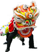 lion1